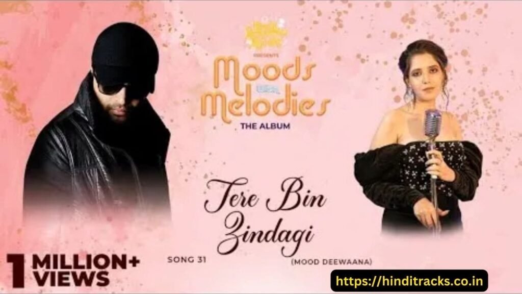 Tere Bin Zindagi Lyrics