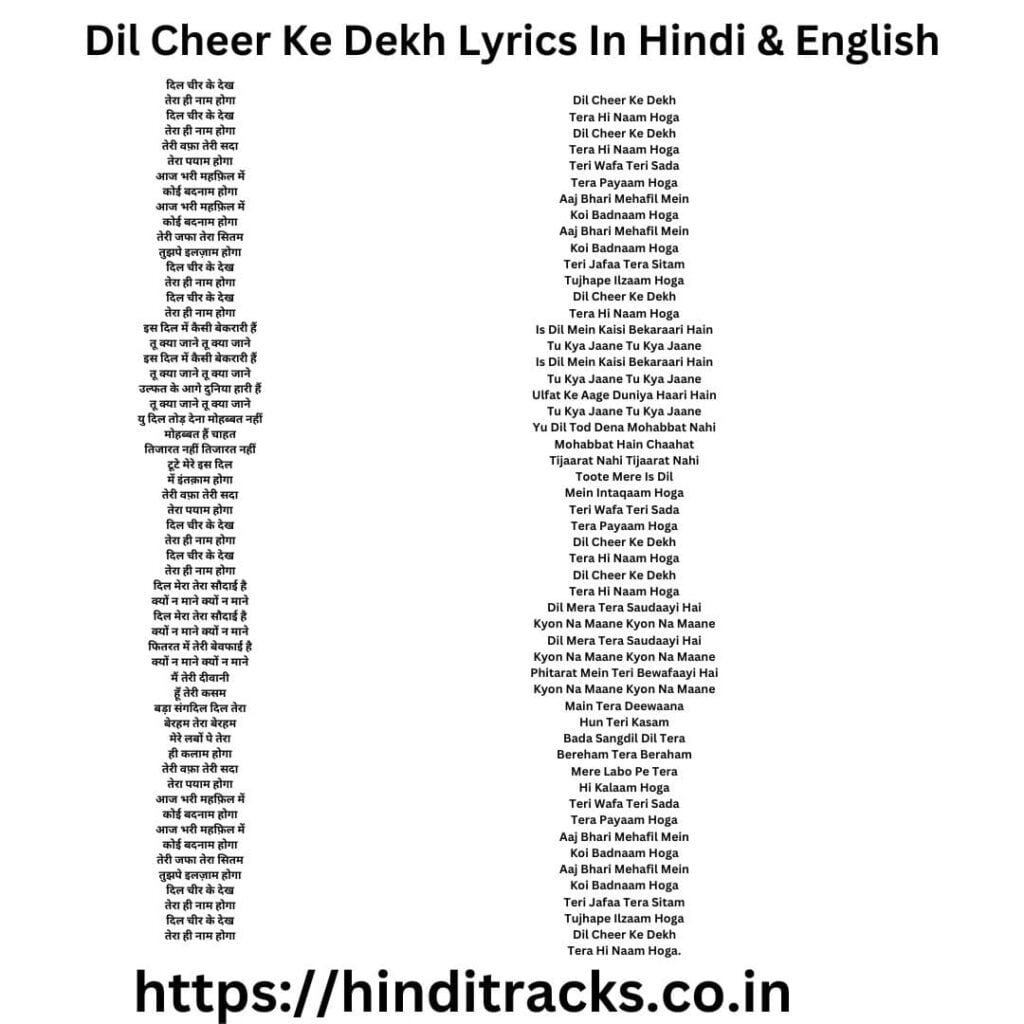 Dil Cheer Ke Dekh