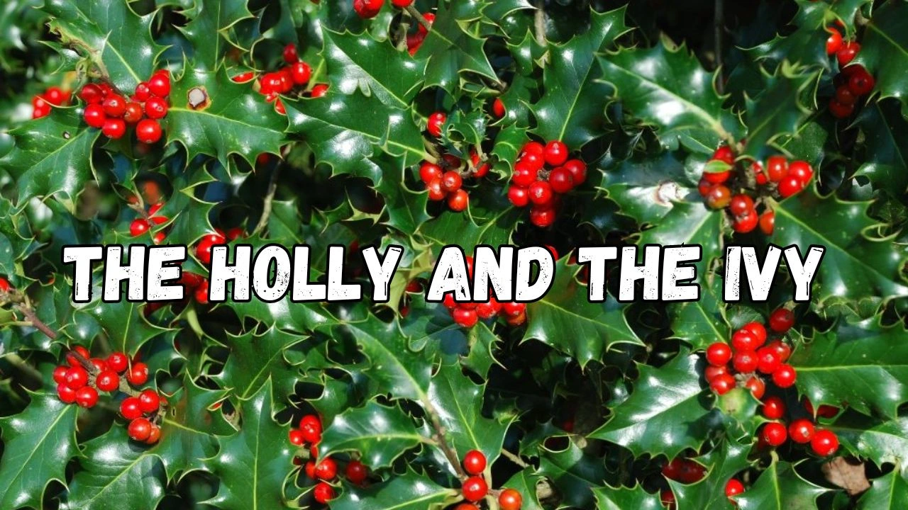 The Holly and the Ivy Lyrics