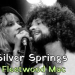 Silver Springs Lyrics